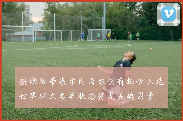 安切洛蒂表示内马尔仍有机会入选世界杯大名单状态将是关键因素
