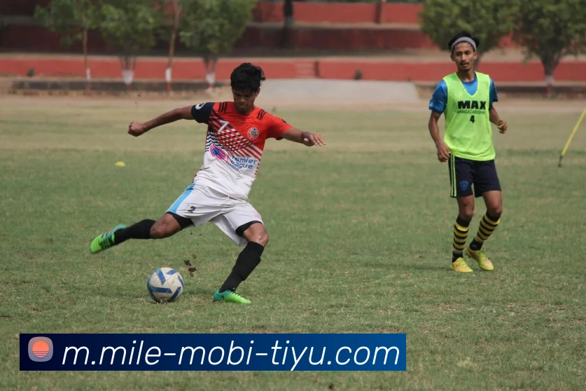 多媒体互动体验